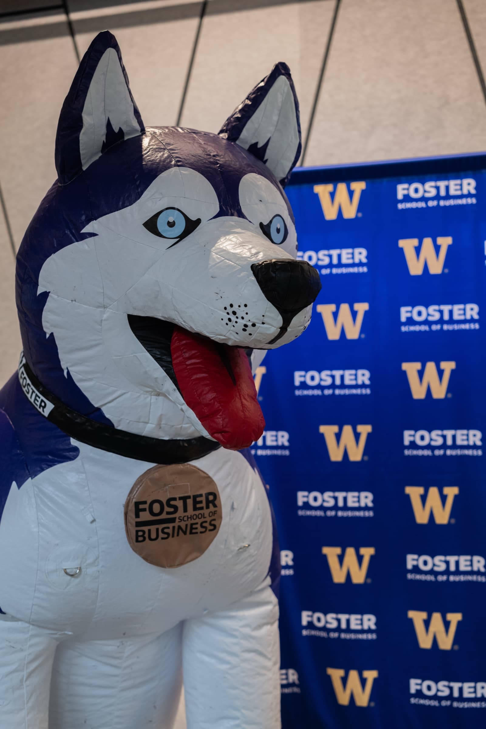 An inflatable Husky mascot in front of a Foster School of Business backdrop.