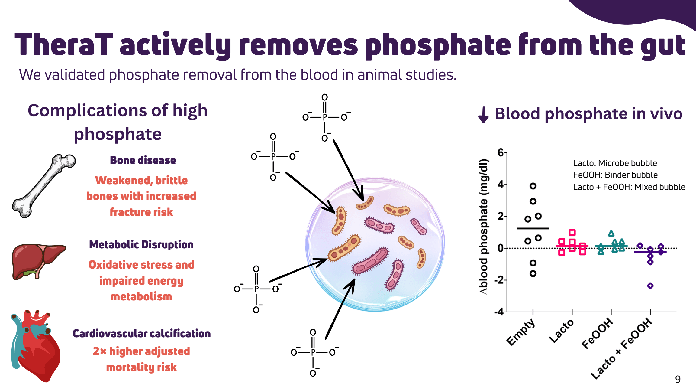 TheraT pitch slide 9: Preclinical phosphate research.